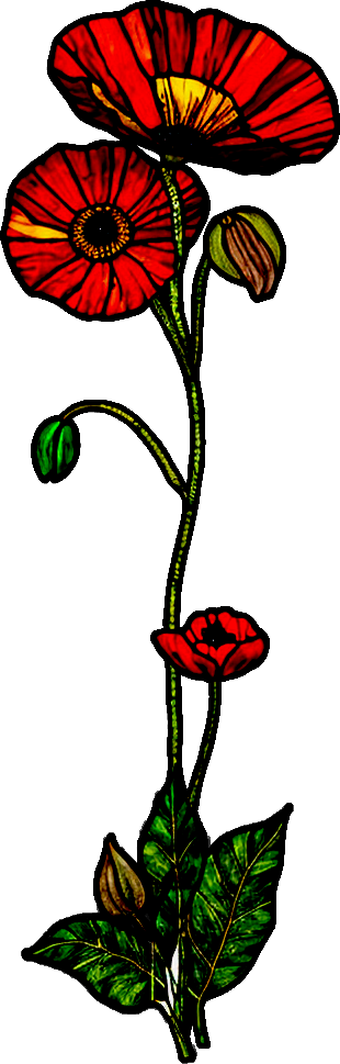 flower image